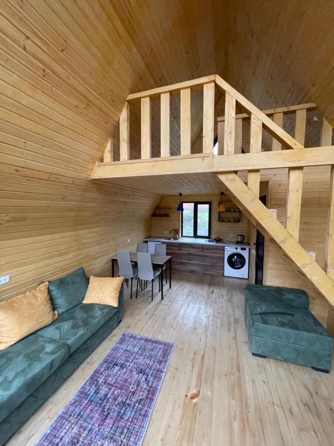 Guesthouse Elli & Cottages Kazbegi Exterior photo